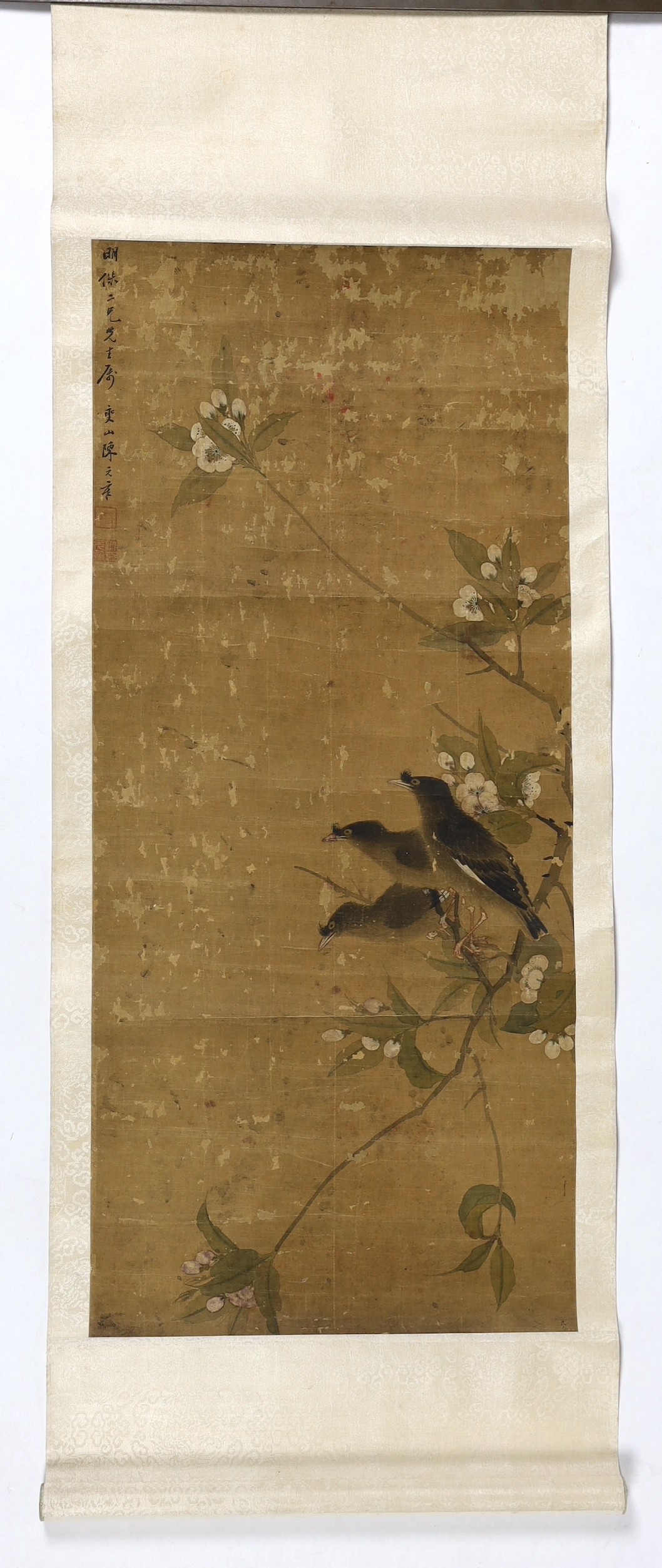 A Chinese scroll painting on silk of blackbirds perched on a blossoming branch, 19th century, image 79cm x 35cm